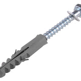 Single Coach Bolt with Washer and Rawl Plug